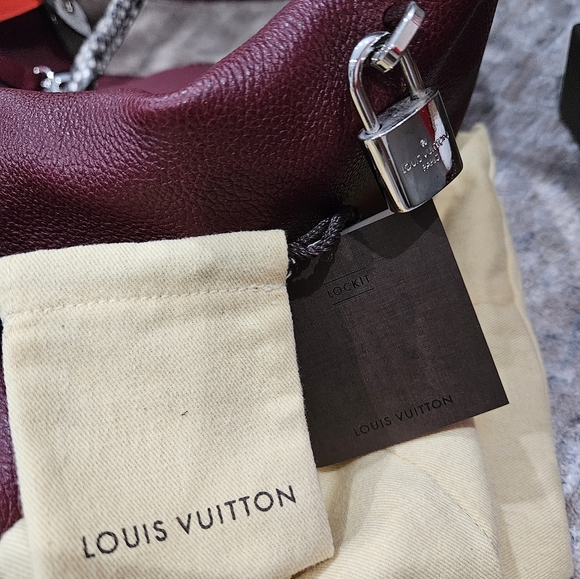 Luis Vuitton- python trimmed soft lockit mm - Picture 5 of 9